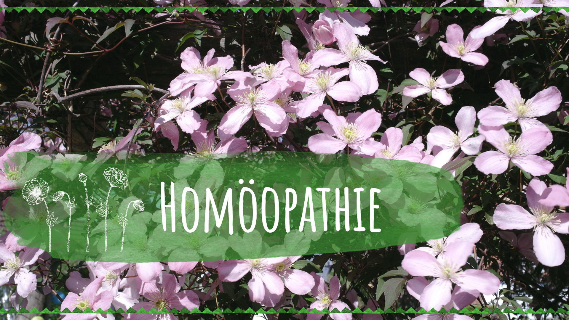 homoeopathie